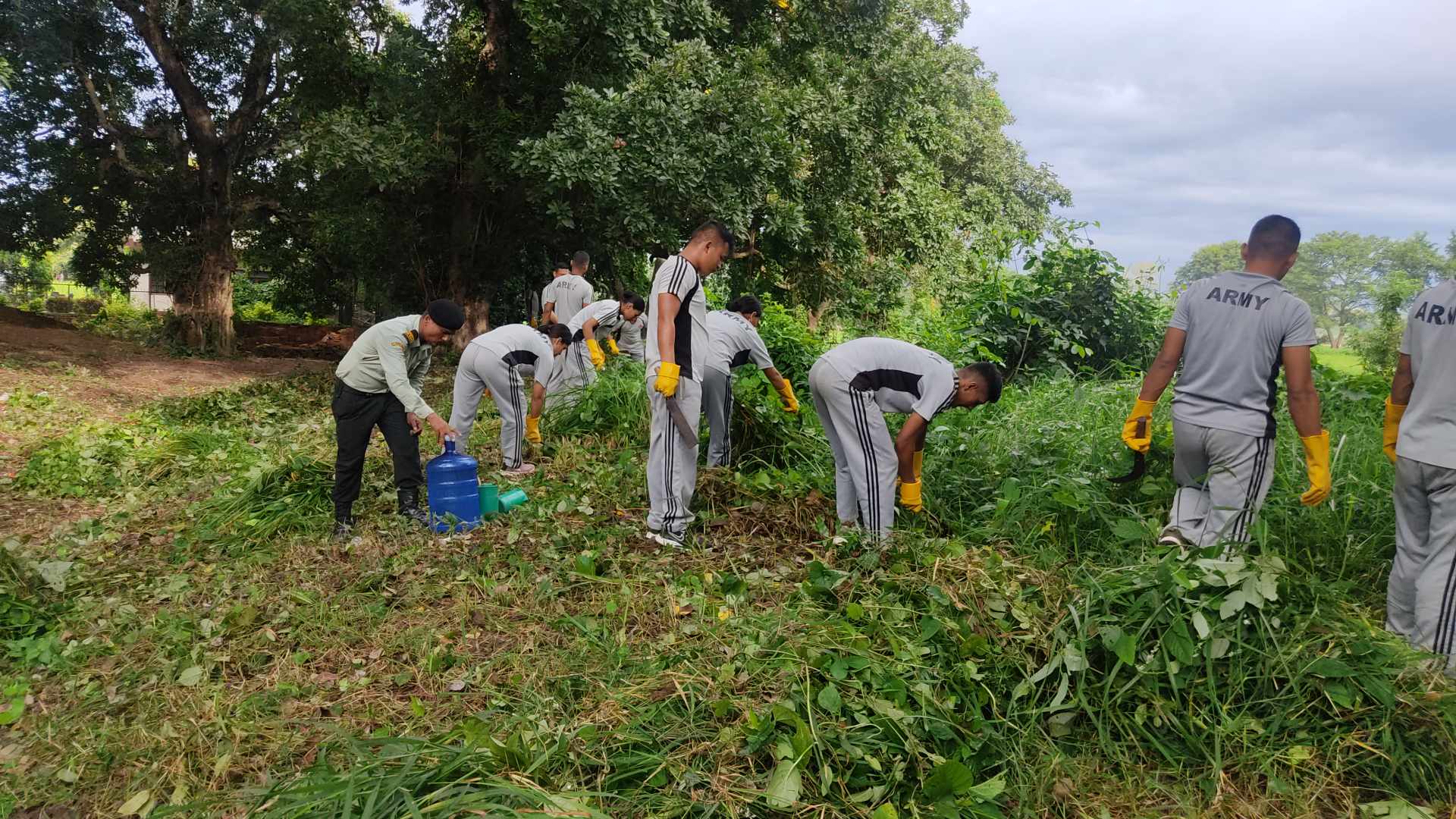 प्राचीन तिलौराकोटमा सरसफाइको काम सुरु