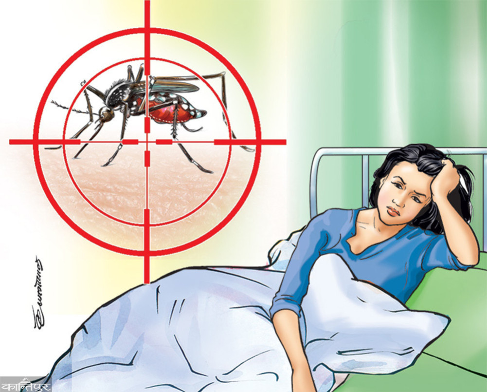 तीन हजारभन्दा बढी डेङ्गु सङ्क्रमित, तीनको मृत्यु